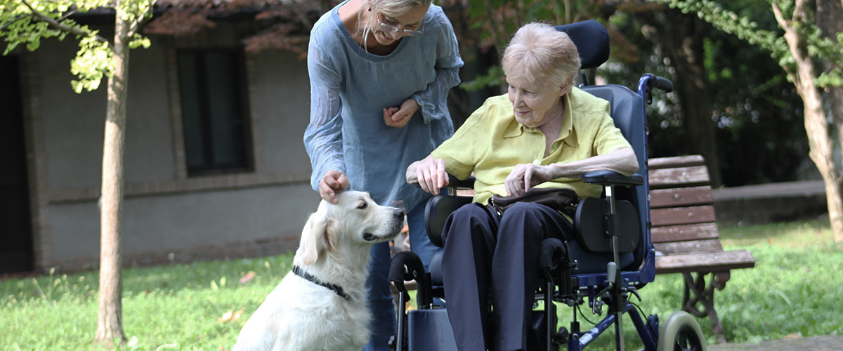 Attività di pet therapy