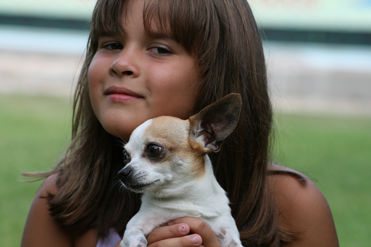 Corso di socializzazione e puppy class